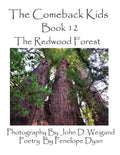 The Comeback Kids, Book 12, the Redwood Forest - Paperback