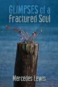 Glimpses of a Fractured Soul - Paperback