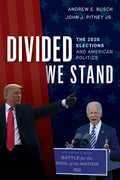 Divided We Stand: The 2020 Elections and American Politics - Hardcover