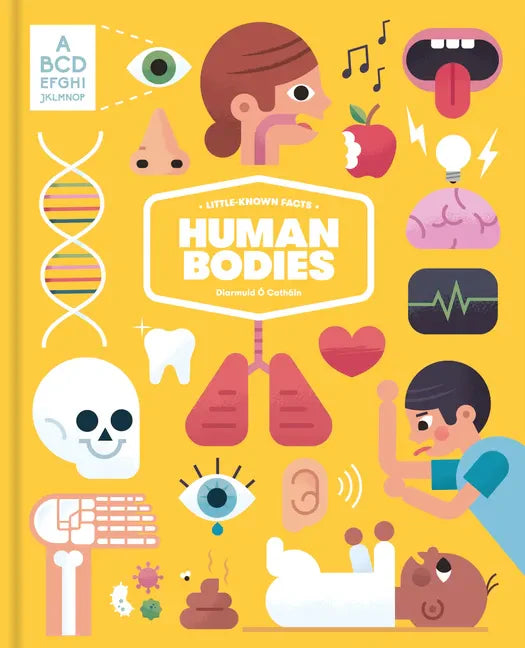 Little-Known Facts: Human Bodies - Hardcover