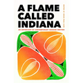 A Flame Called Indiana: An Anthology of Contemporary Hoosier Writing - Paperback
