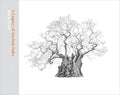 A Legacy of Ancient Oaks - Hardcover