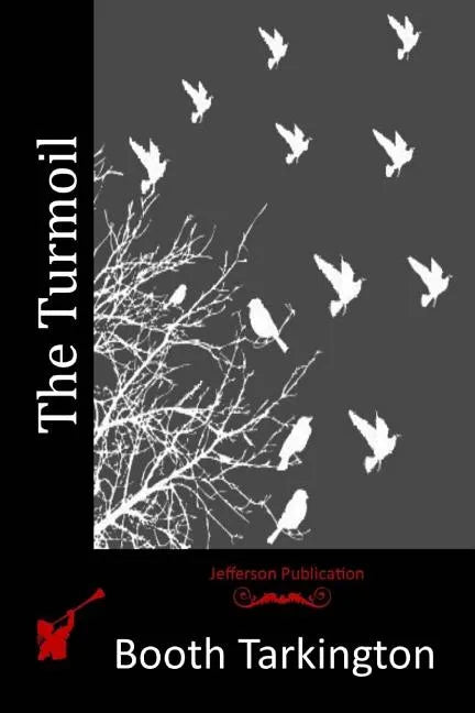 The Turmoil - Paperback