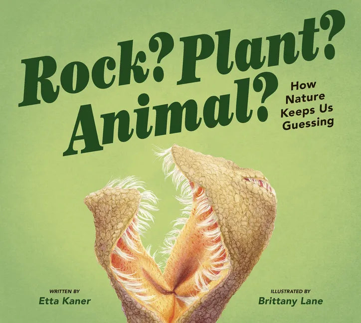 Rock? Plant? Animal?: How Nature Keeps Us Guessing - Hardcover