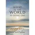 What in the World is Going On?: Wisdom Teachings for Our Time - Paperback