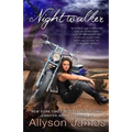 Nightwalker: Stormwalker - Paperback