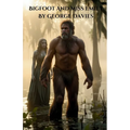 Bigfoot And Miss Emily - Paperback