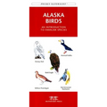 Rocky Mountain Birds: An Introduction to Familiar Species