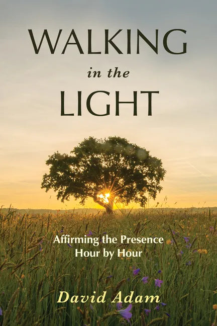 Walking in the Light: Affirming the Presence Hour by Hour - Paperback