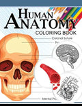 Human Anatomy Coloring Book: Anatomy & Physiology Coloring Book 3rd Edtion - Paperback