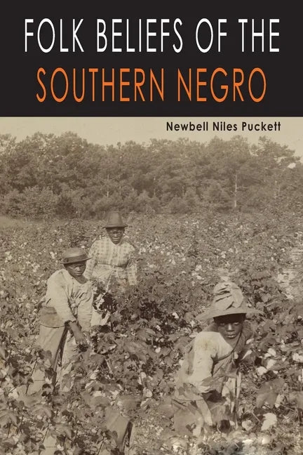 Folk Beliefs of the Southern Negro - Paperback
