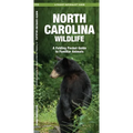 Maine Wildlife: A Folding Pocket Guide to Familiar Animals - Paperback
