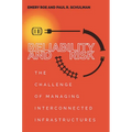 Reliability and Risk: The Challenge of Managing Interconnected Infrastructures - Hardcover