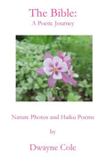 The Bible: A Poetic Journey - Paperback