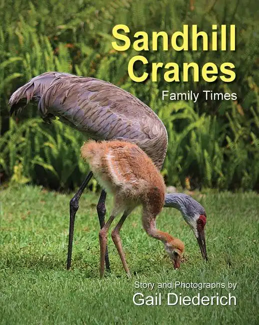 Sandhill Cranes, Family Times - Paperback