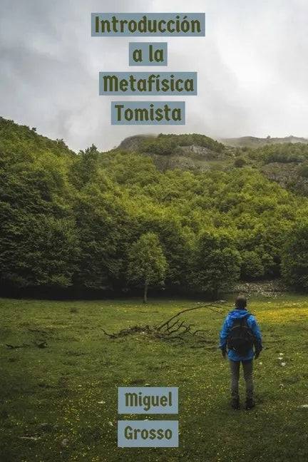 Introducción a la Metafísica Tomista - Paperback