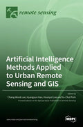 Artificial Intelligence Methods Applied to Urban Remote Sensing and GIS - Hardcover