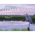 A Collection of Lowcountry Birds - Paperback