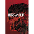Beowulf: A Graphic Novel - Paperback