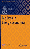 Big Data in Energy Economics - Hardcover