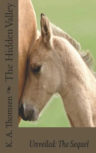 The Hidden Valley Unveiled: The Sequel - Paperback