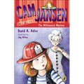 CAM Jansen and the Millionaire Mystery - Hardcover