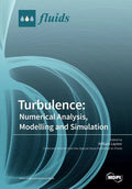 Turbulence: Numerical Analysis, Modelling and Simulation - Paperback