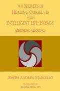 The Secrets of Healing Ourselves with Intelligent Life- Energy - Paperback