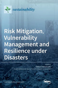 Risk Mitigation, Vulnerability Management and Resilience under Disasters - Hardcover