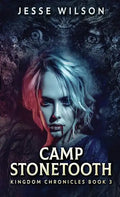 Camp Stonetooth - Hardcover