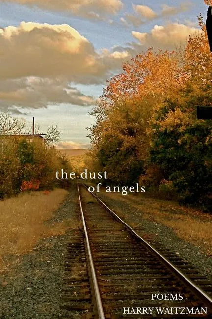 Dust of Angels - Paperback