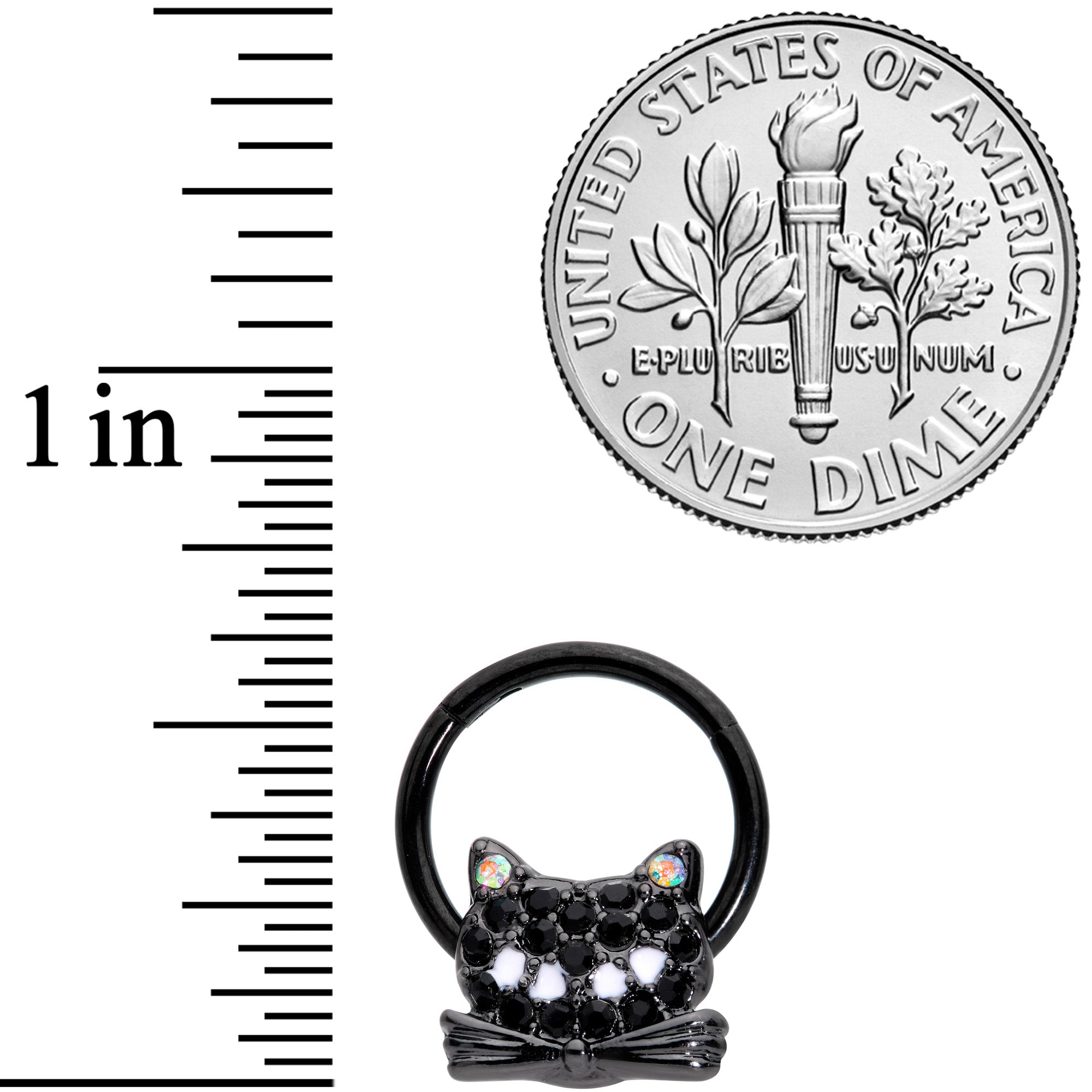 16G 3/8 Black Aurora Gem Black Cat Hinged Segment Ring
