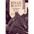 Rough Beasts: The Monstrous in Irish Fiction, 1800-2000 - Paperback