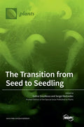 The Transition from Seed to Seedling - Hardcover