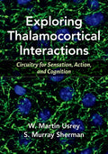 Exploring Thalamocortical Interactions: Circuitry for Sensation, Action, and Cognition - Paperback