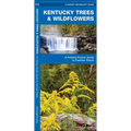 Kentucky Trees & Wildflowers: A Folding Pocket Guide to Familiar Plants