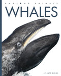 Whales - Paperback