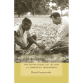 Thinking Small: The United States and the Lure of Community Development - Paperback