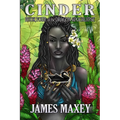 Cinder: Book Four of the Dragon Apocalypse - Paperback