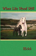 When Life Stood Still - Paperback