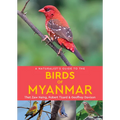 A Naturalist's Guide to the Birds of Myanmar - Paperback