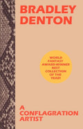 A Conflagration Artist - Paperback