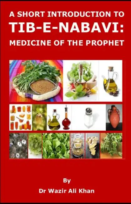 A Short Introduction to Tib-E-Nabavi: Medicine of the Prophet - Paperback