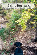 Saint Bernard The Twelve Degrees Of Humility And Pride - Paperback
