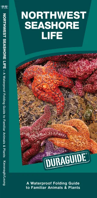 Northwest Seashore Life: A Folding Guide to Familiar Animals & Plants - Paperback