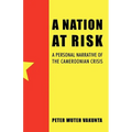 A Nation at Risk: A Personal Narrative of the Cameroonian Crisis - Paperback