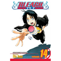 Bleach, Vol. 14 - Paperback