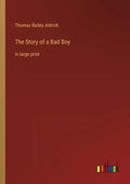 The Story of a Bad Boy: in large print - Paperback