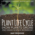 Plant Life Cycle (How Plants Grow): 2nd Grade Science Workbook Children's Botany Books Edition - Paperback
