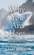 Why You Are Here: and other stories - Paperback
